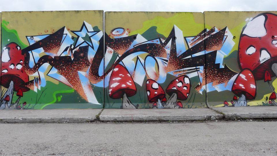 Graffiti Wall - Photo by strasbourgraffiti