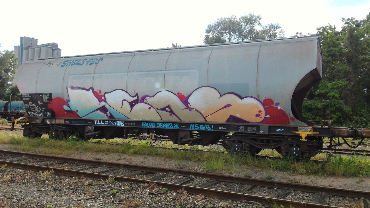 Graffiti Train - Photo by strasbourgraffiti