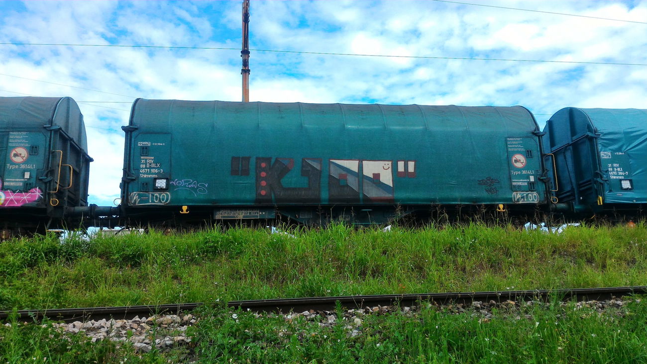 Graffiti Train - Photo by strasbourgraffiti
