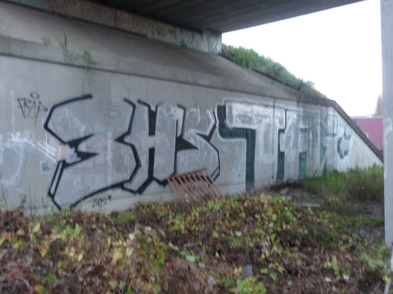 Graffiti Bombing - Photo by strasbourgraffiti