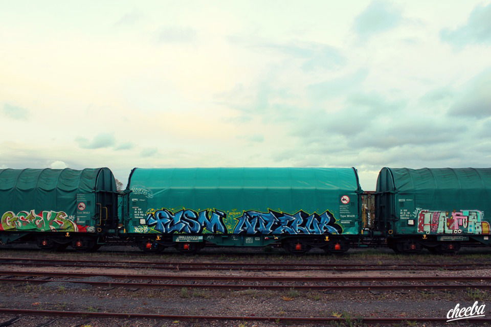Graffiti Train - Photo by strasbourgraffiti