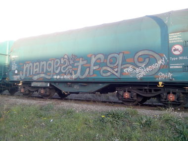 Graffiti Train - Photo by strasbourgraffiti