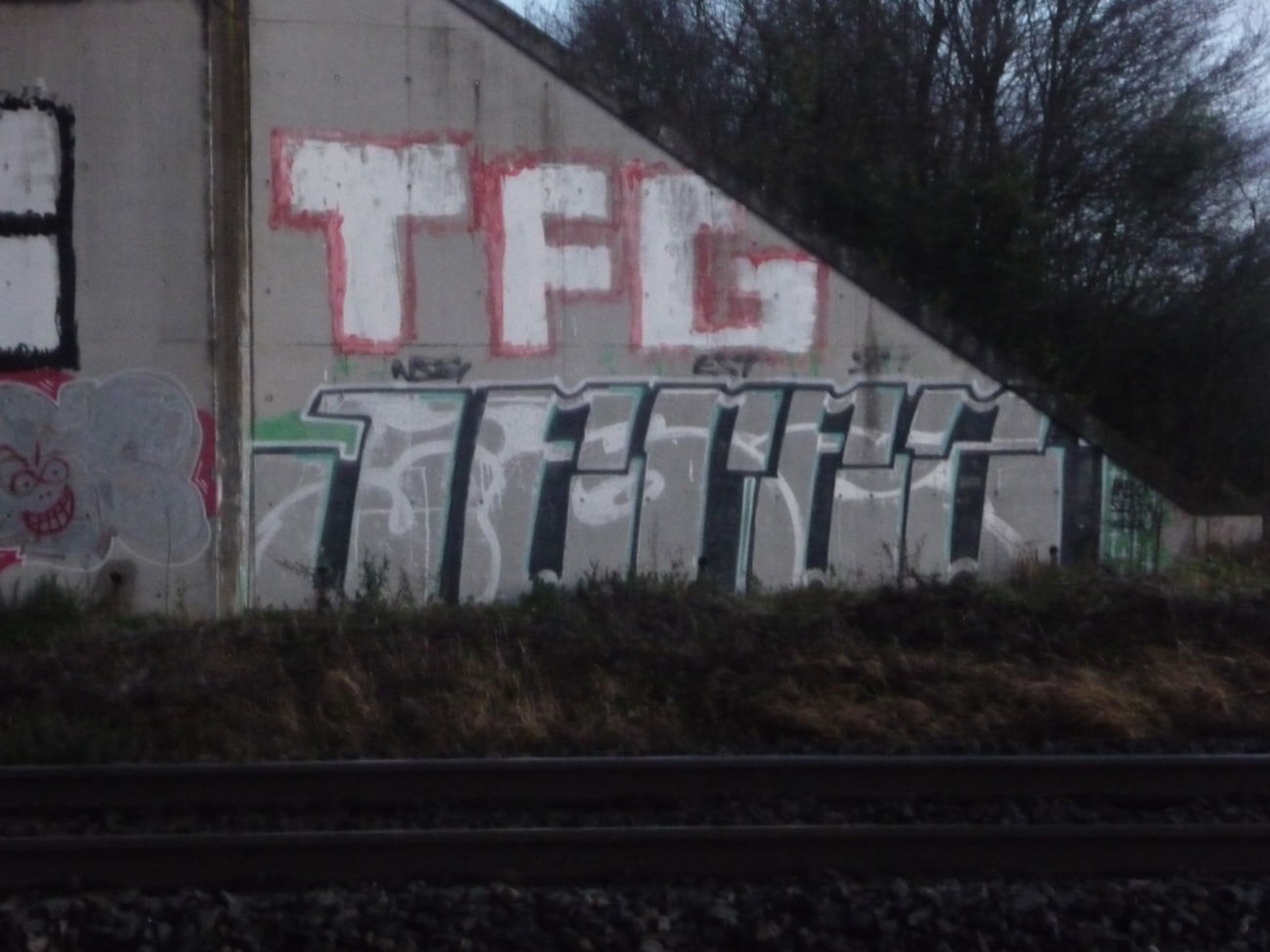 Graffiti Bombing - Photo by strasbourgraffiti