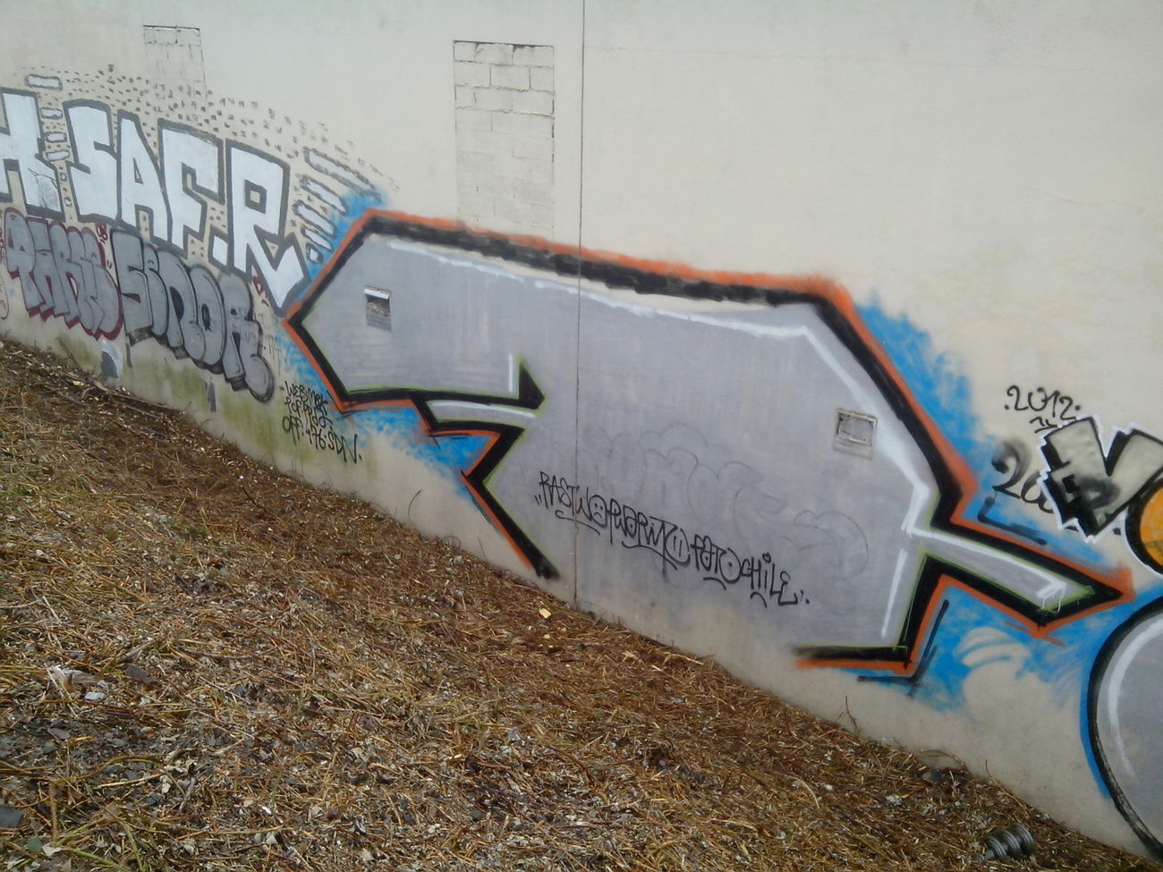 Graffiti Bombing - Photo by strasbourgraffiti