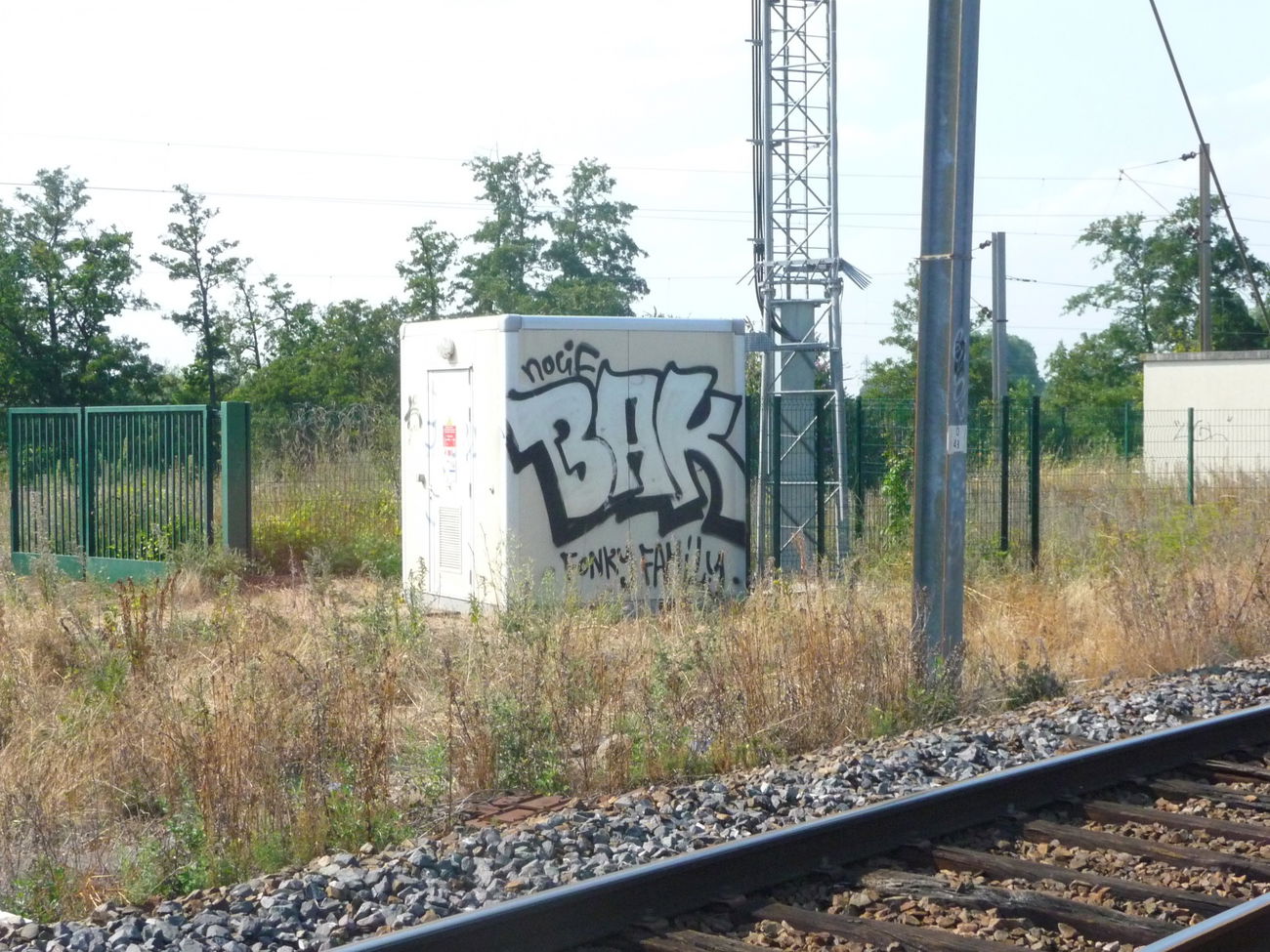 Graffiti Bombing - Photo by strasbourgraffiti