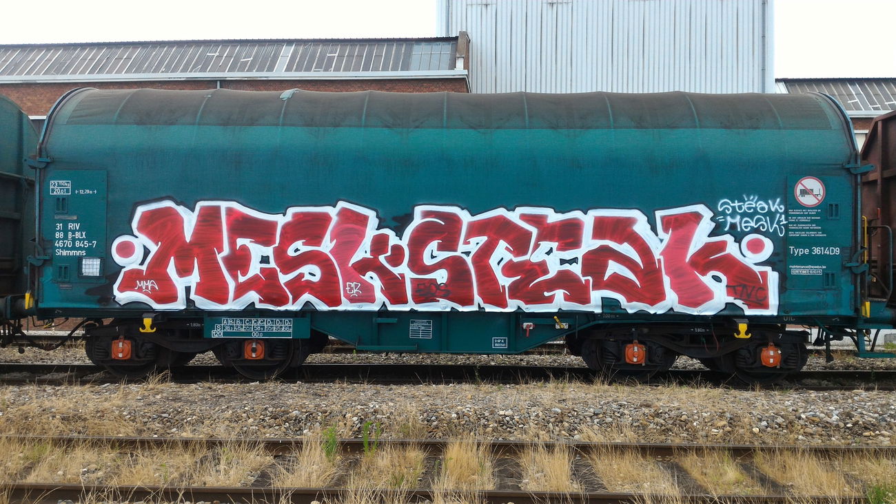 Graffiti Train - Photo by strasbourgraffiti