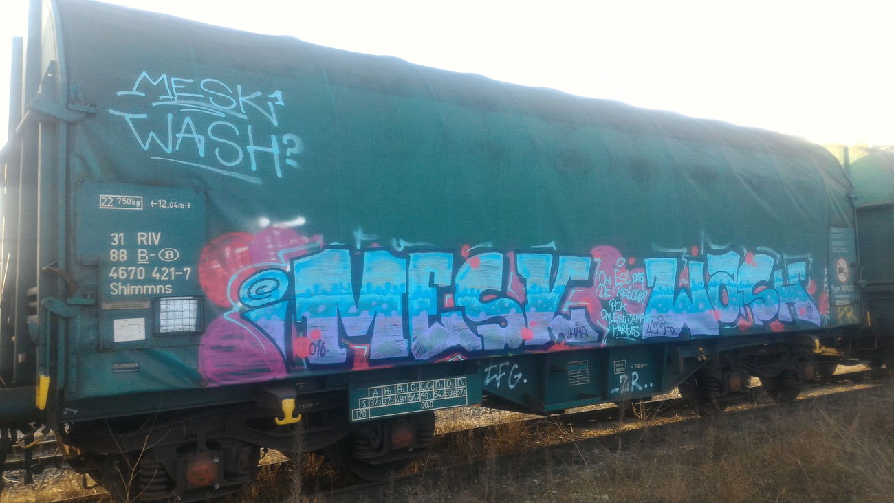Graffiti Train - Photo by strasbourgraffiti