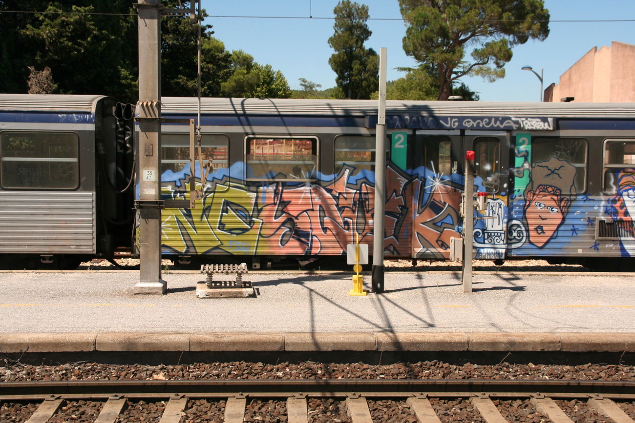 Graffiti Train - Photo by strasbourgraffiti