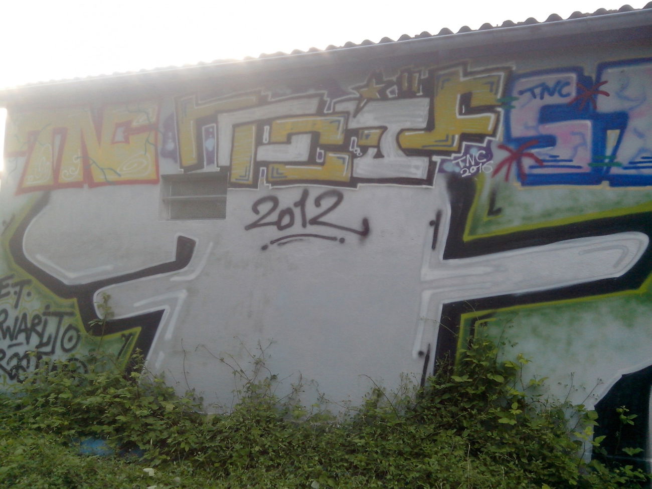 Graffiti Bombing - Photo by strasbourgraffiti