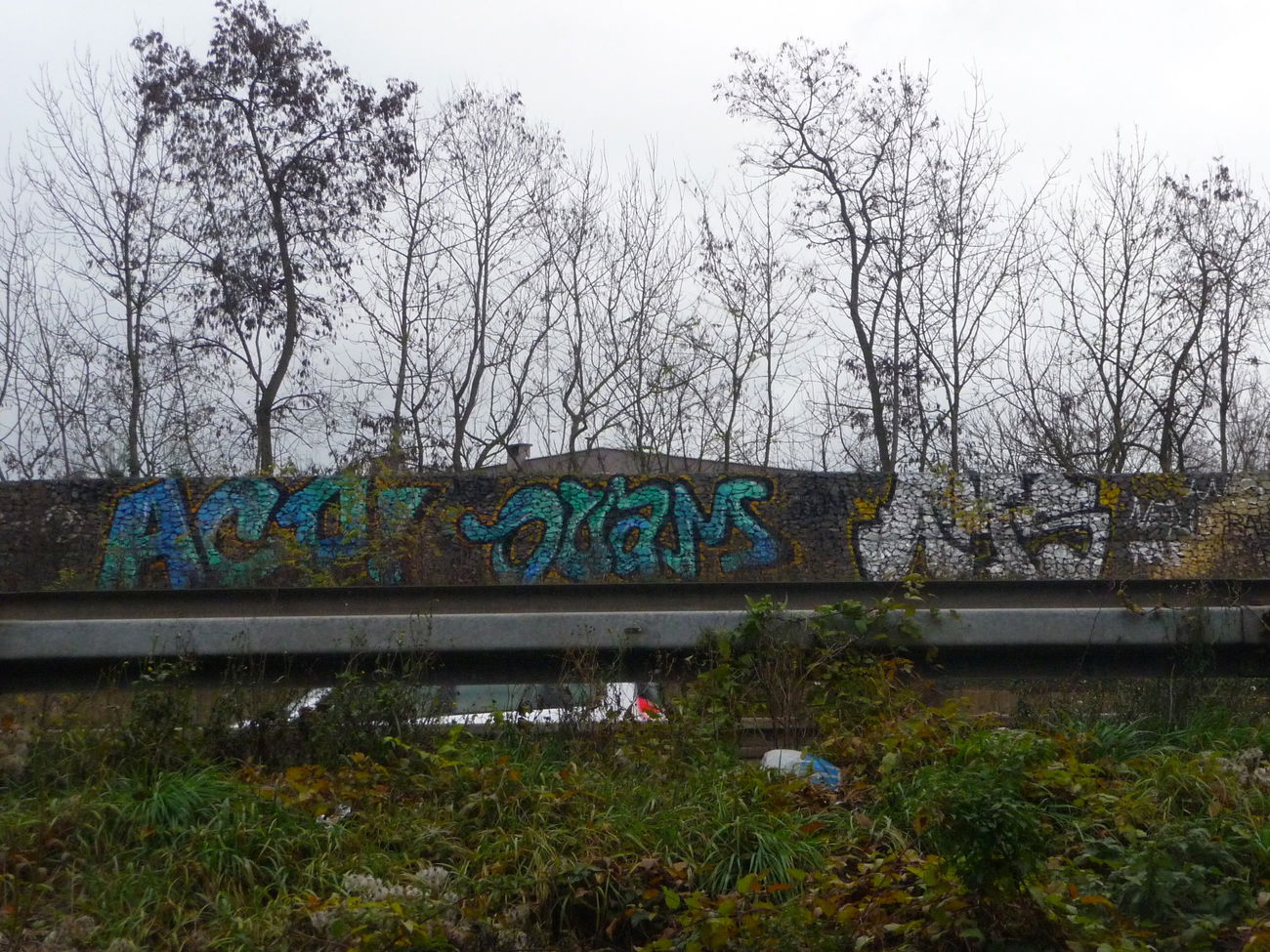 Graffiti Bombing - Photo by strasbourgraffiti