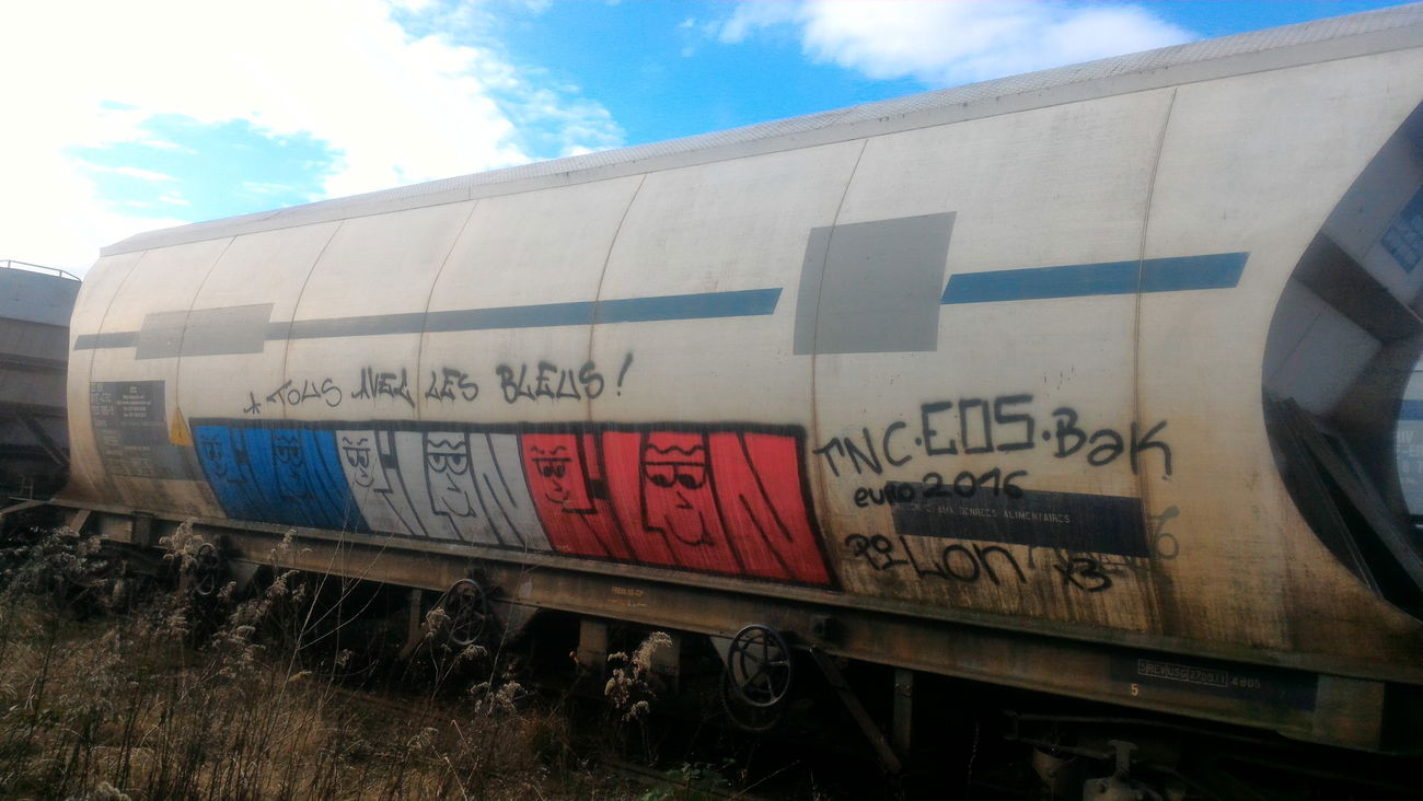 Graffiti Train - Photo by strasbourgraffiti