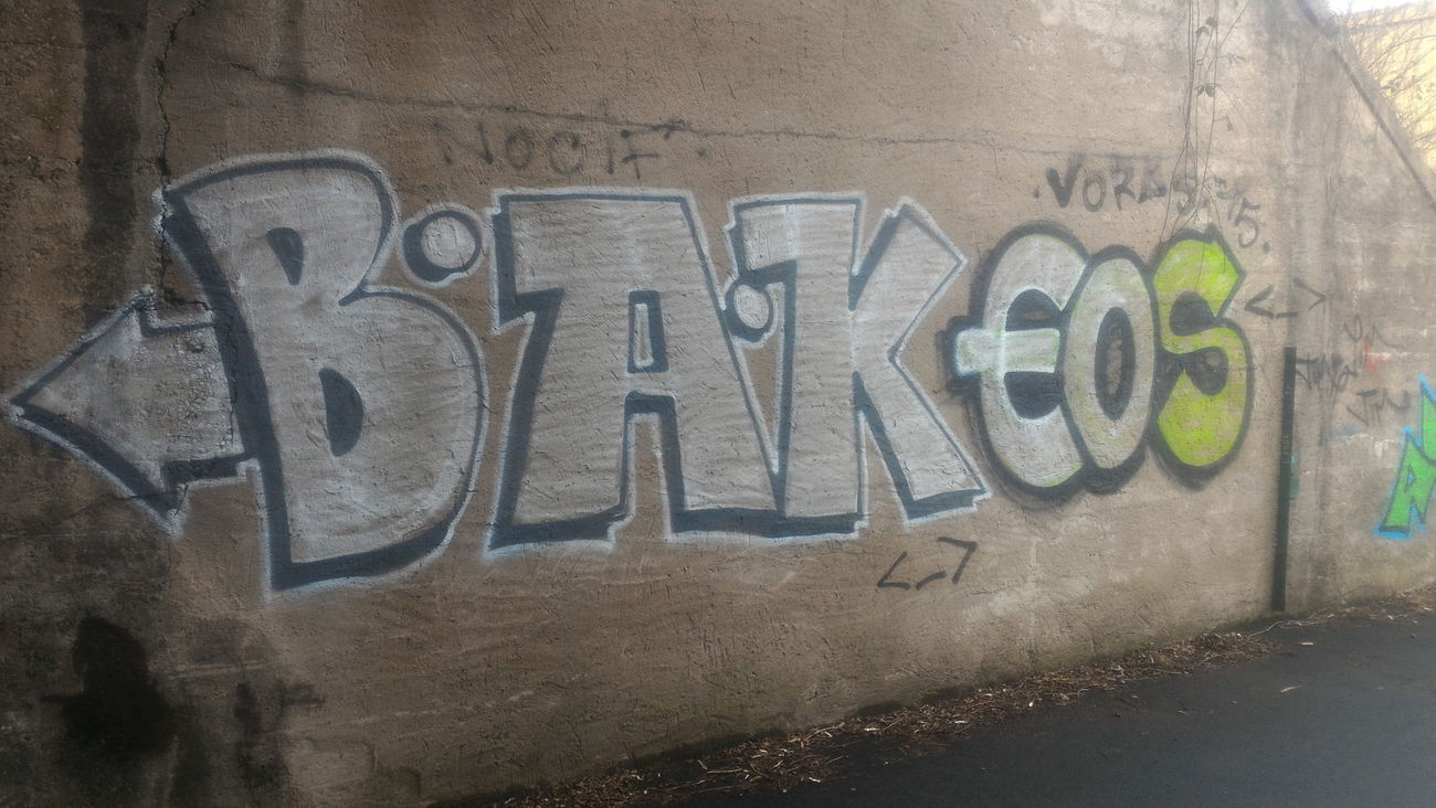 Graffiti Bombing - Photo by strasbourgraffiti