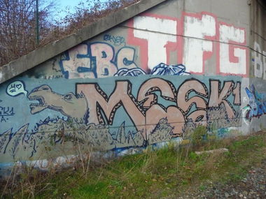 Graffiti Bombing - Photo by strasbourgraffiti