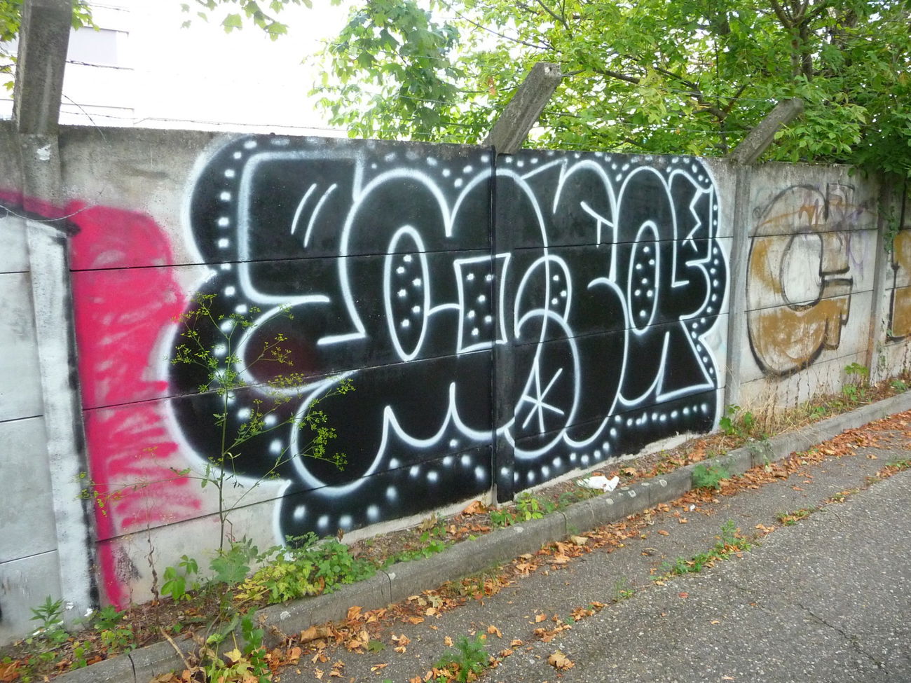 Graffiti Bombing - Photo by strasbourgraffiti