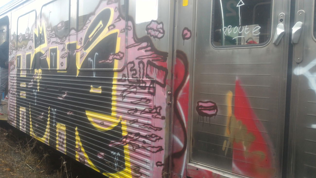 Graffiti Train - Photo by strasbourgraffiti