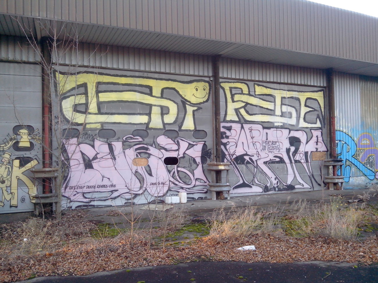 Graffiti Bombing - Photo by strasbourgraffiti