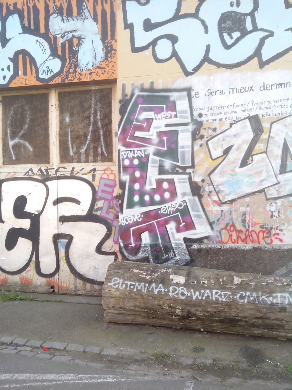 Graffiti Bombing - Photo by strasbourgraffiti