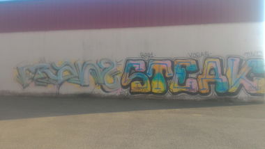 Graffiti Bombing - Photo by strasbourgraffiti