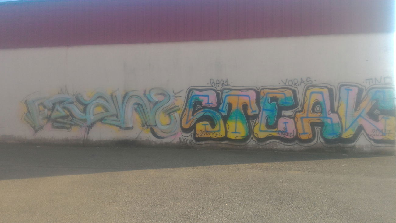 Graffiti Bombing - Photo by strasbourgraffiti