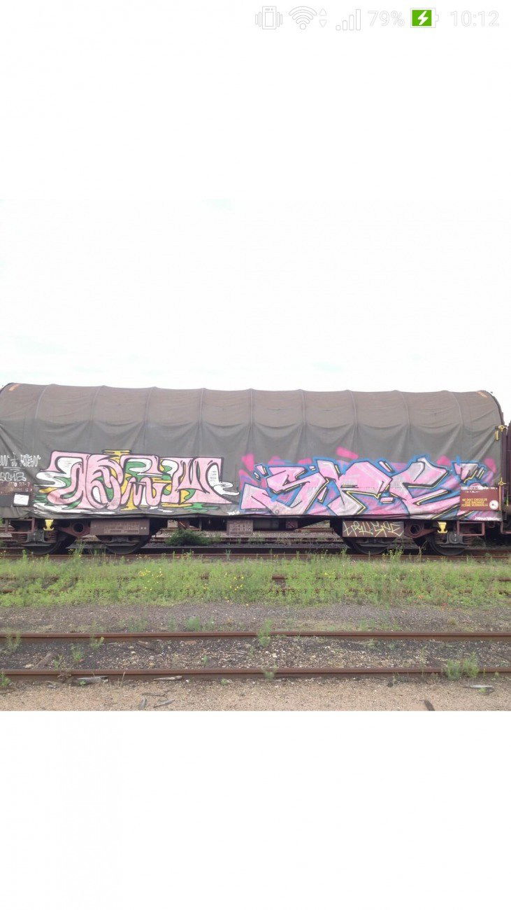 Graffiti Train - Photo by strasbourgraffiti