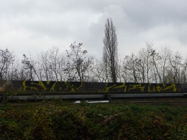 Graffiti Bombing - Photo by strasbourgraffiti