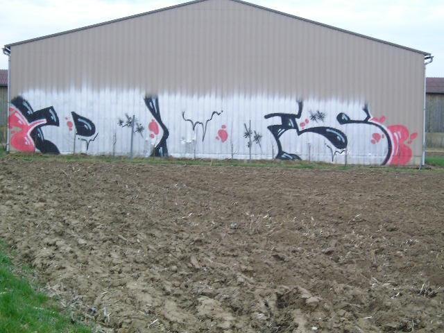 Graffiti Bombing - Photo by strasbourgraffiti