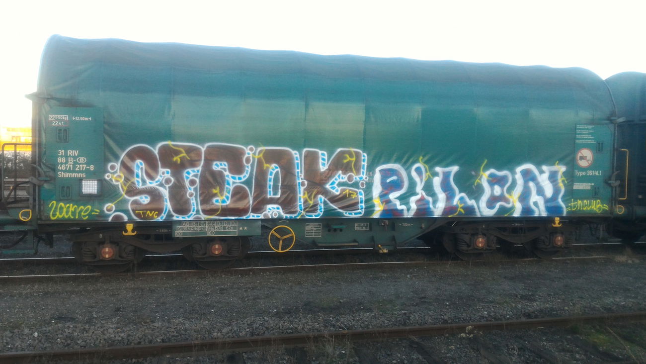 Graffiti Train - Photo by strasbourgraffiti