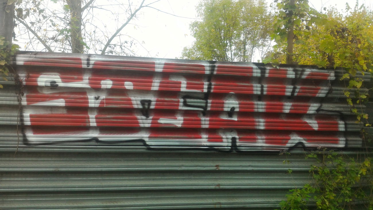 Graffiti Bombing - Photo by strasbourgraffiti