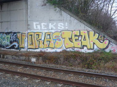 Graffiti Bombing - Photo by strasbourgraffiti