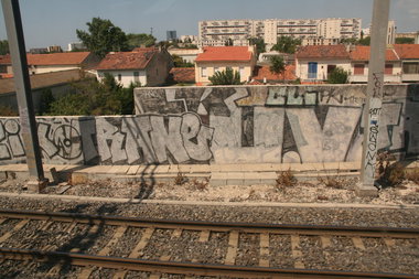 Graffiti Bombing - Photo by strasbourgraffiti