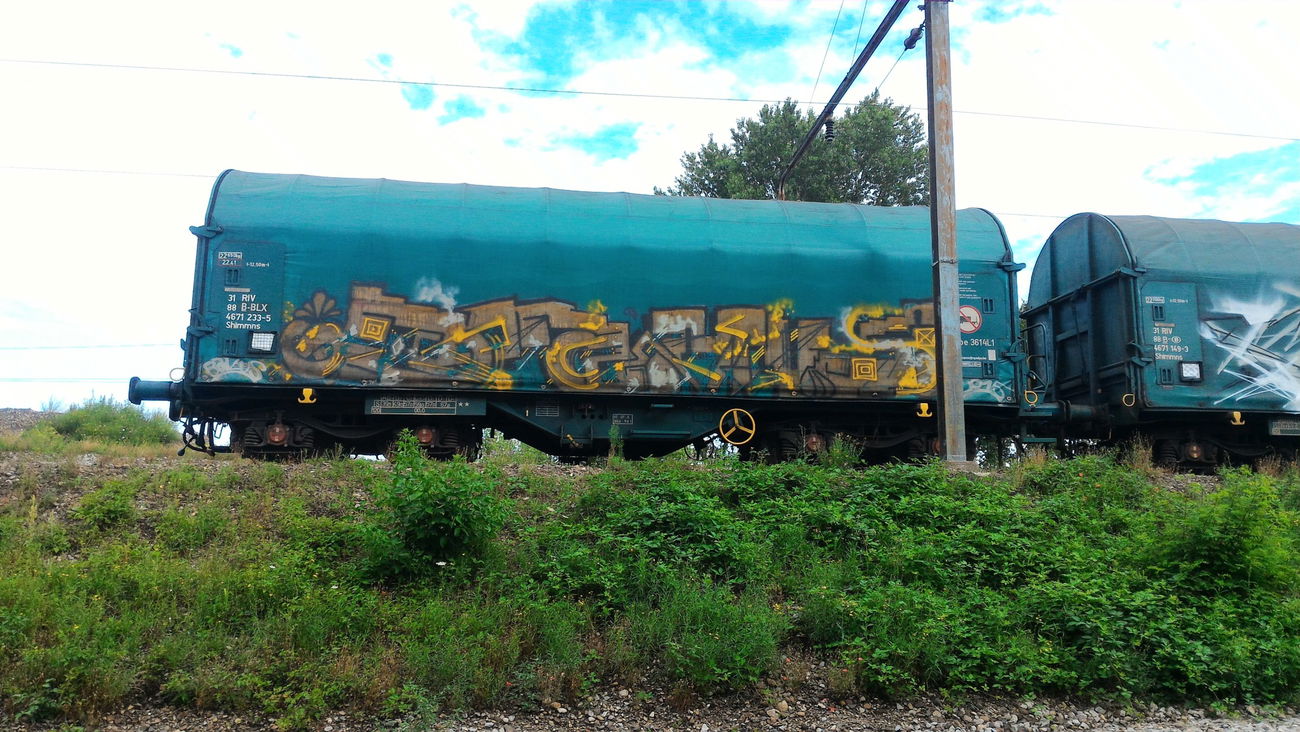 Graffiti Train - Photo by strasbourgraffiti