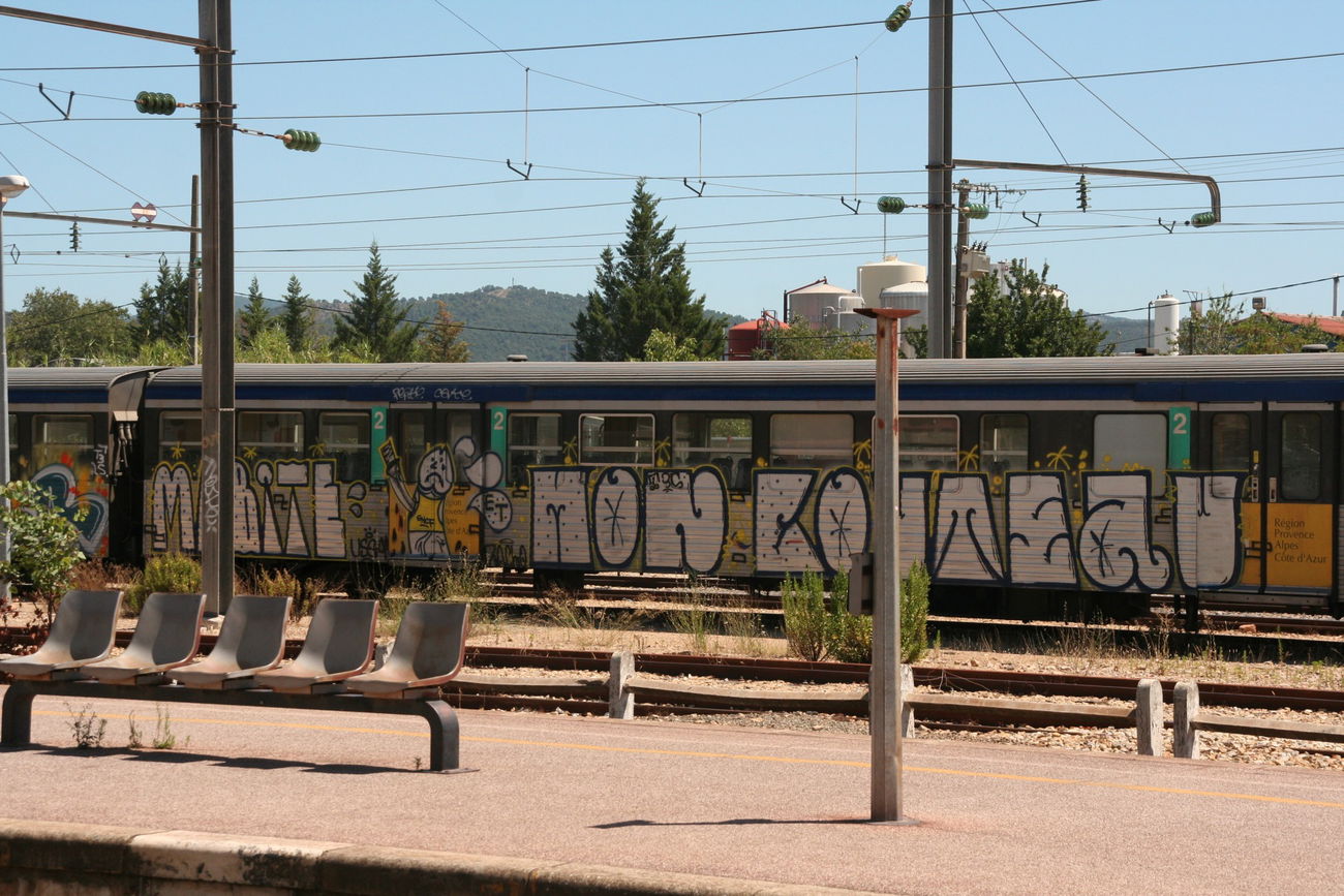 Graffiti Train - Photo by strasbourgraffiti