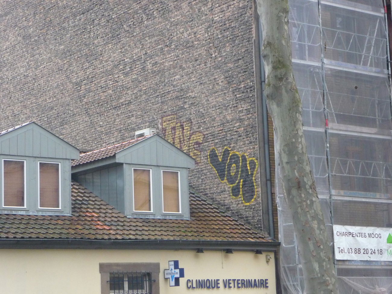 Graffiti Bombing - Photo by strasbourgraffiti