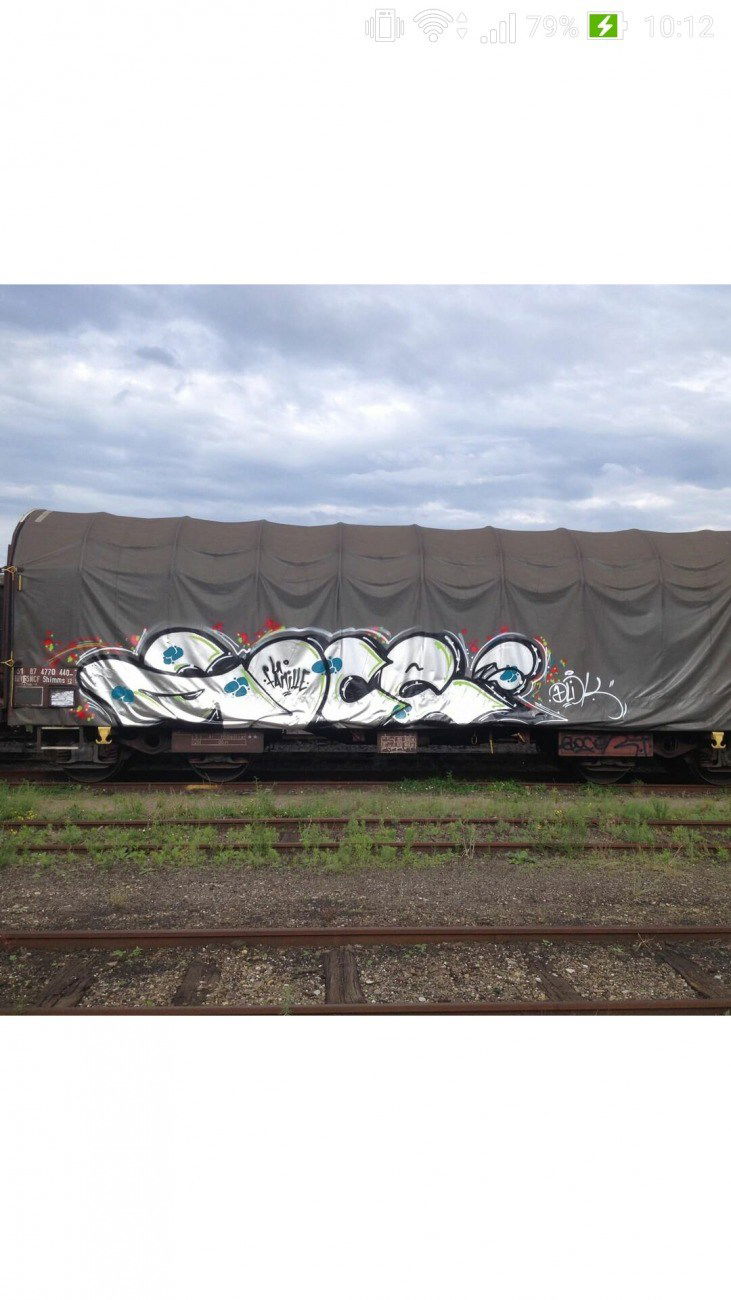 Graffiti Train - Photo by strasbourgraffiti