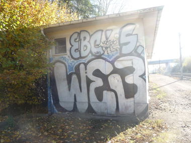 Graffiti Bombing - Photo by strasbourgraffiti