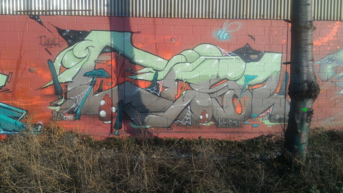 Graffiti Wall - Photo by strasbourgraffiti