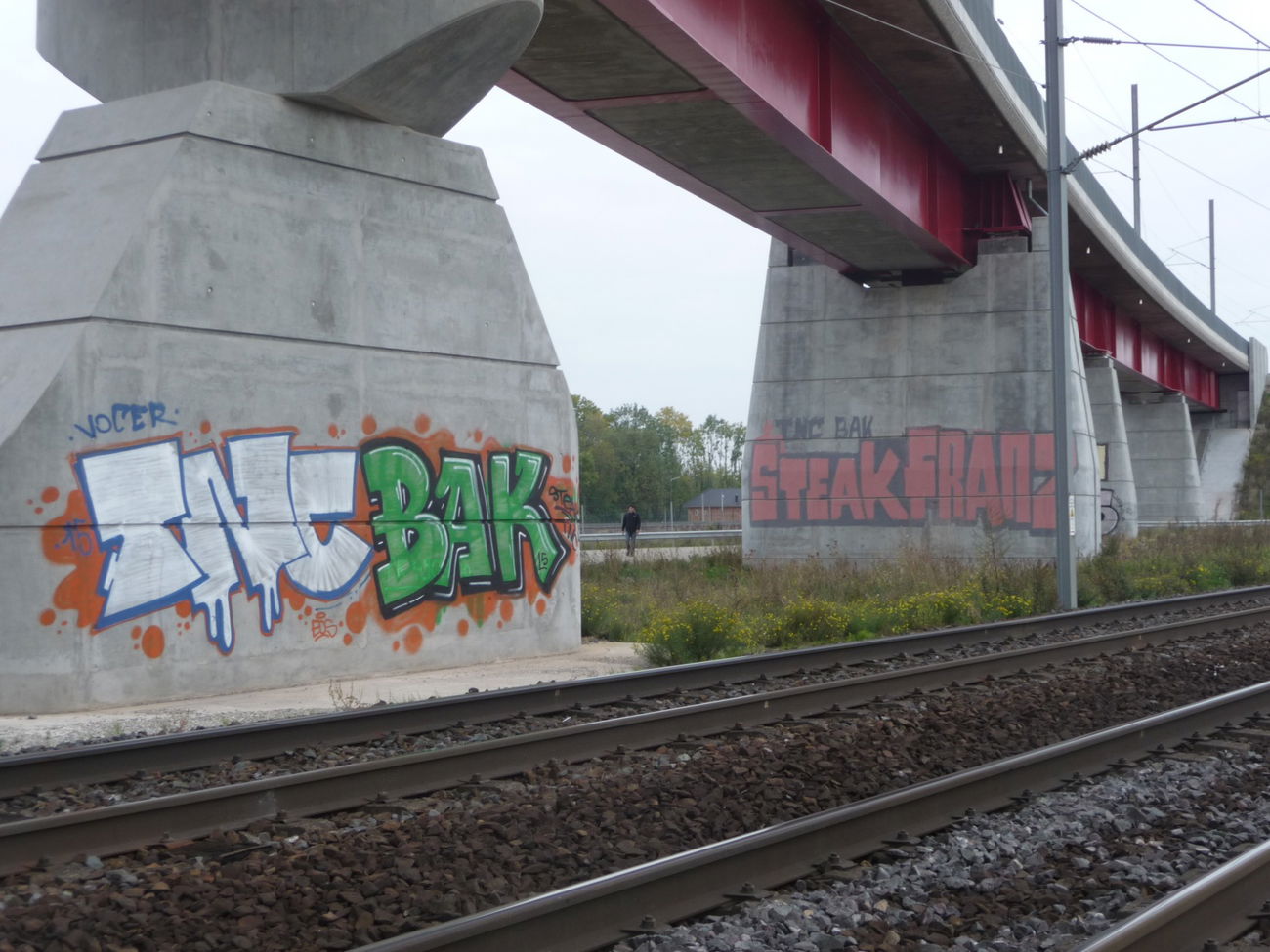 Graffiti Bombing - Photo by strasbourgraffiti