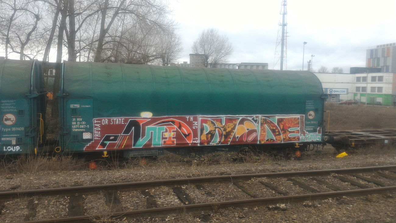 Graffiti Train - Photo by strasbourgraffiti