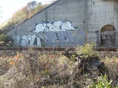 Graffiti Bombing - Photo by strasbourgraffiti