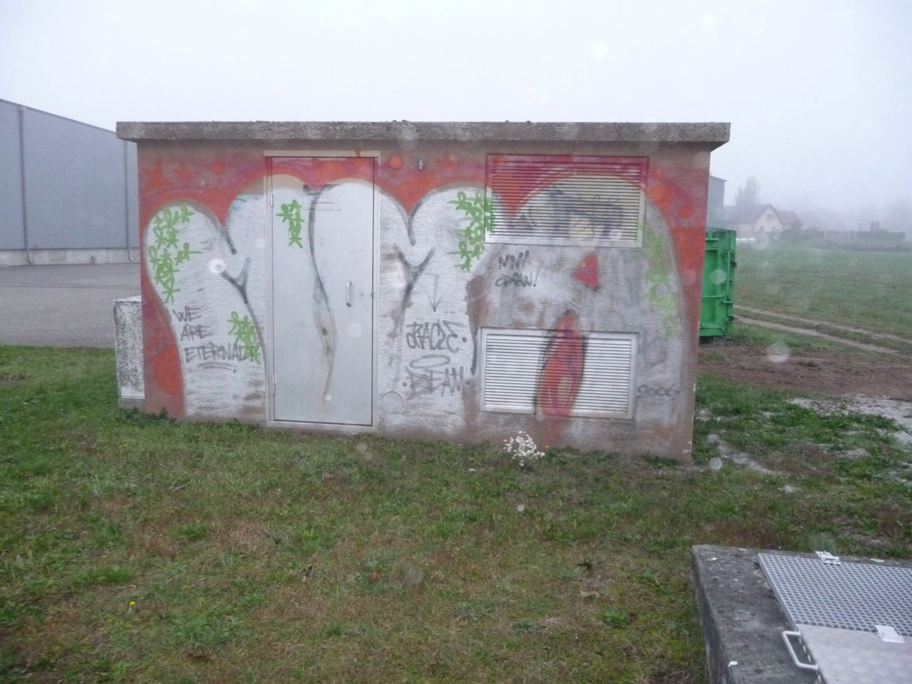 Graffiti Bombing - Photo by strasbourgraffiti