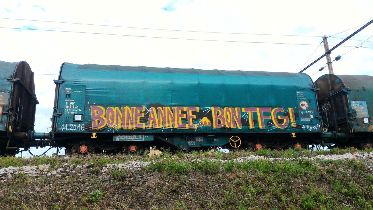 Graffiti Train - Photo by strasbourgraffiti