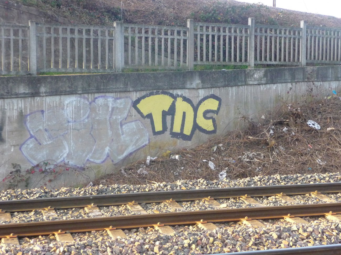 Graffiti Bombing - Photo by strasbourgraffiti