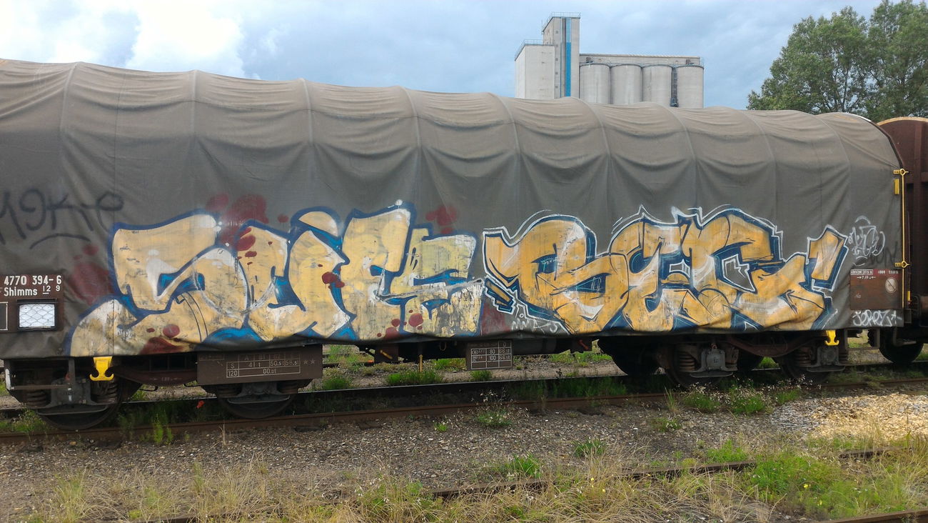 Graffiti Train - Photo by strasbourgraffiti