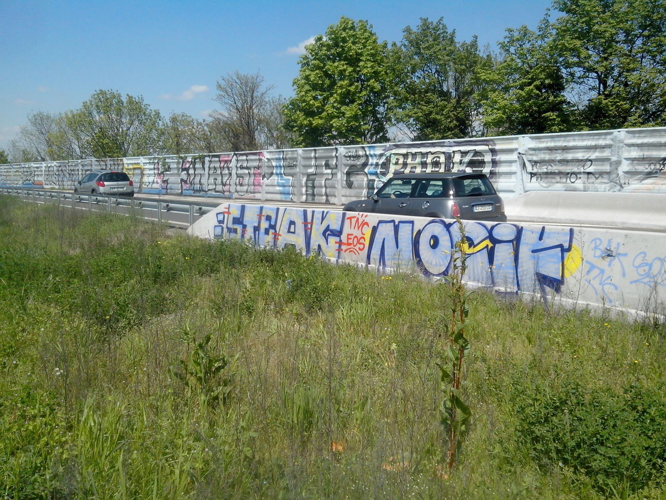 Graffiti Bombing - Photo by strasbourgraffiti