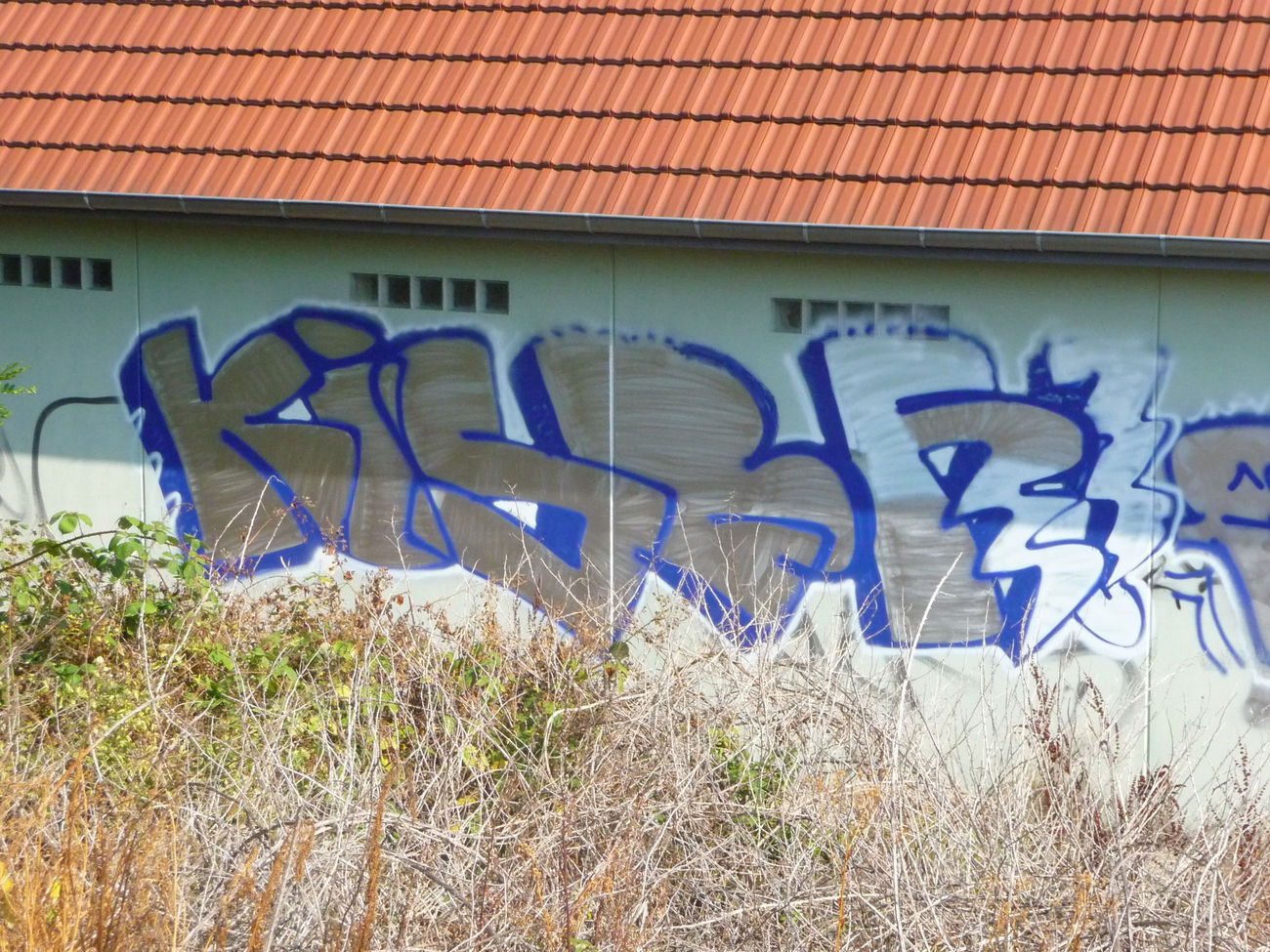 Graffiti Bombing - Photo by strasbourgraffiti