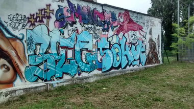 Graffiti Bombing - Photo by strasbourgraffiti