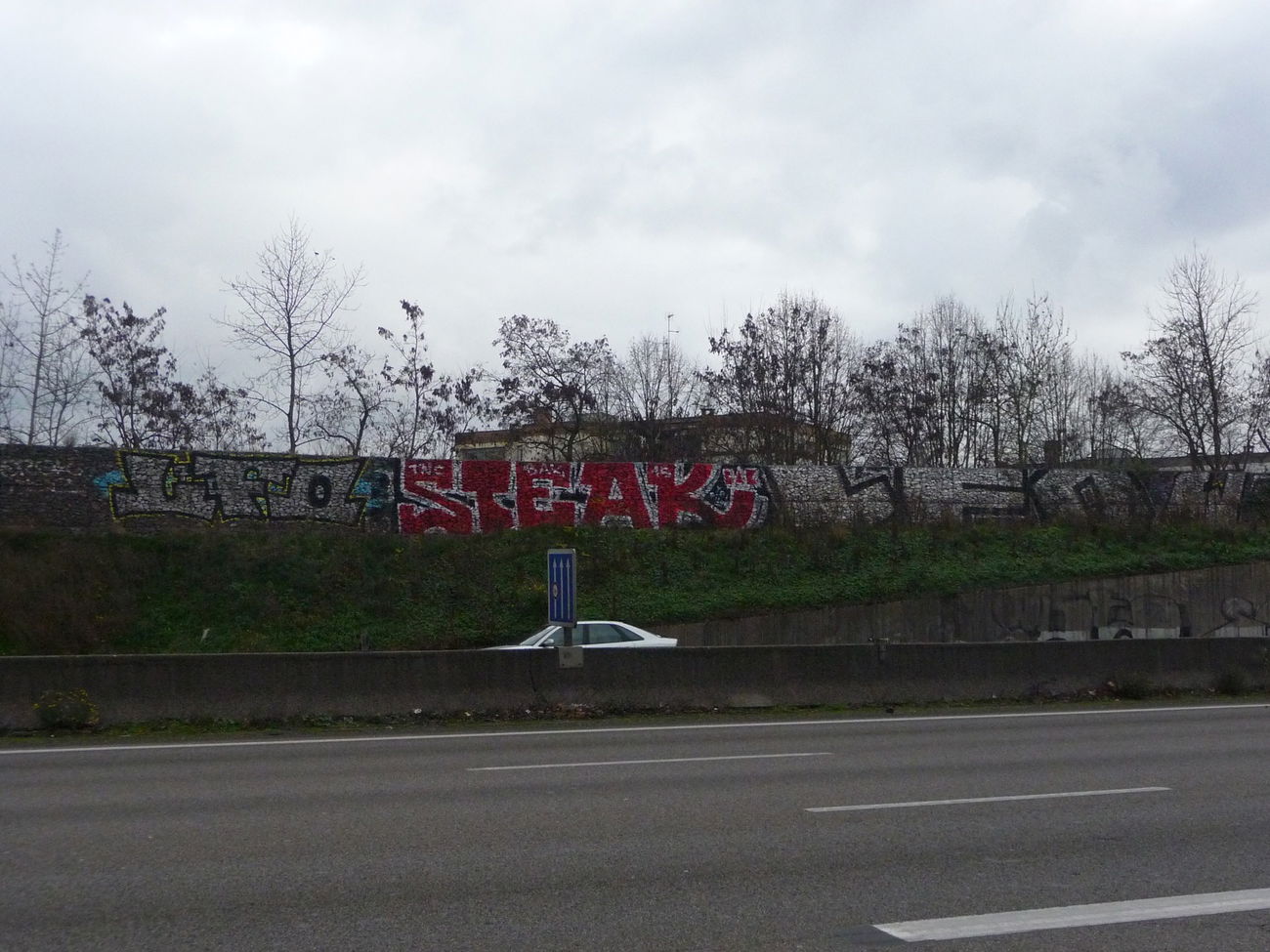 Graffiti Bombing - Photo by strasbourgraffiti