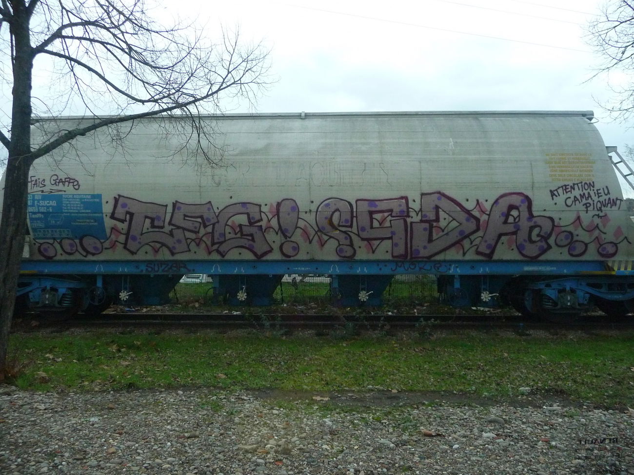 Graffiti Train - Photo by strasbourgraffiti