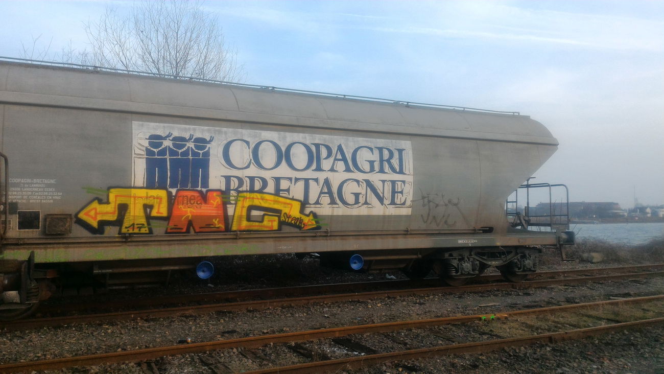 Graffiti Train - Photo by strasbourgraffiti