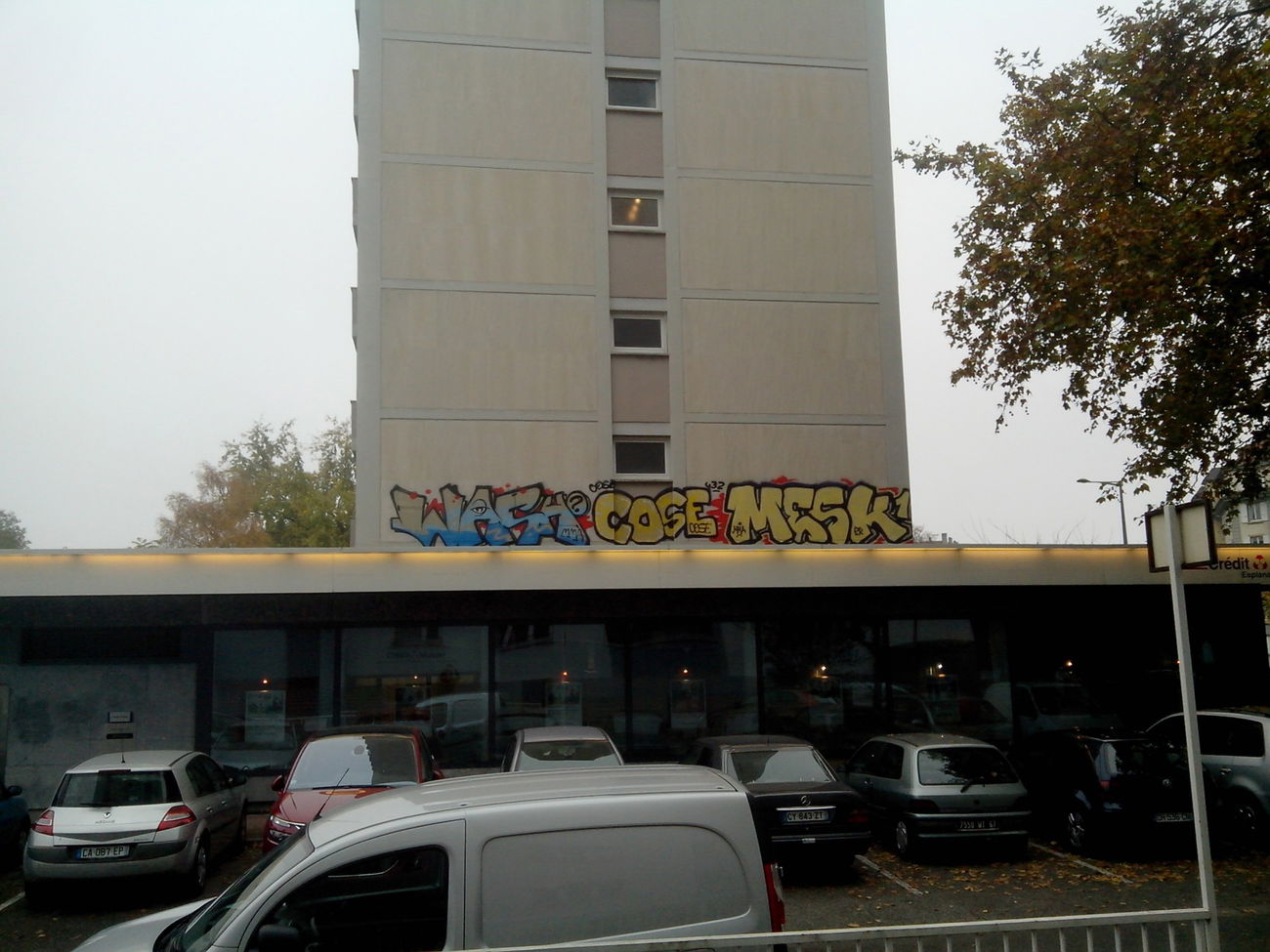 Graffiti Bombing - Photo by strasbourgraffiti